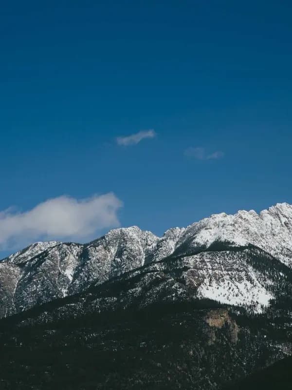 ALEXANDRA — 2