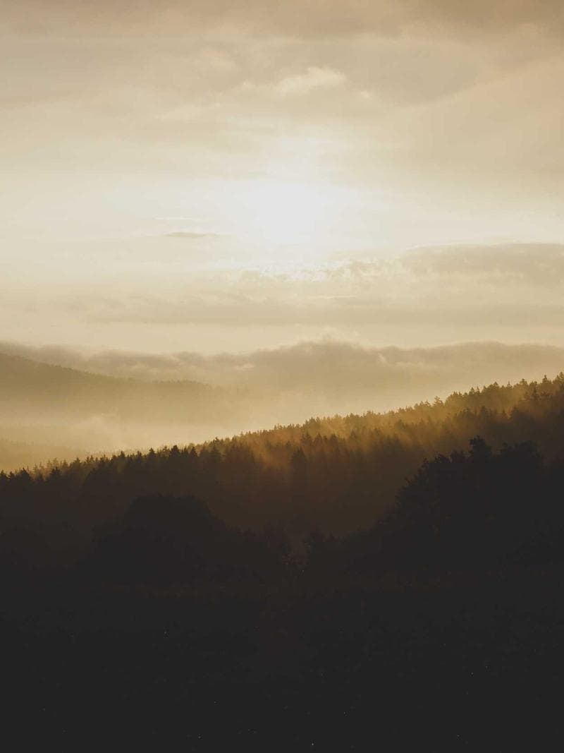 ANNELIES — Dutch escort in amsterdam — 2