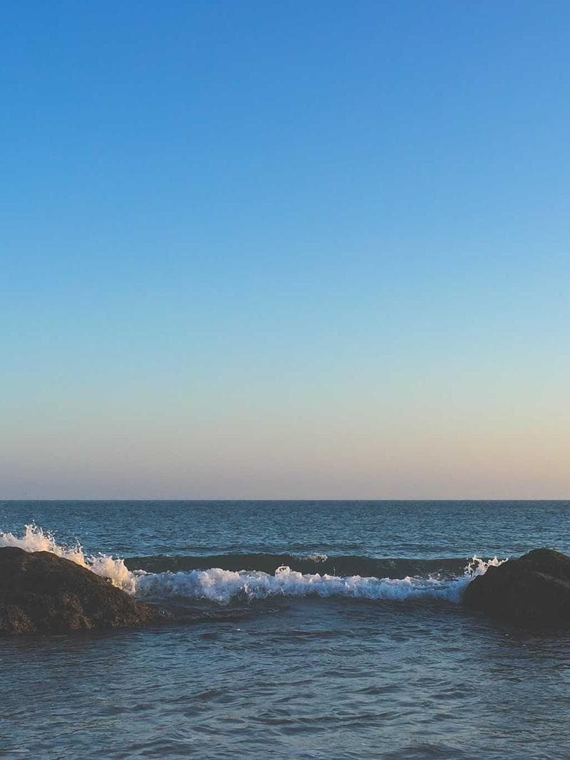 ANNELIES — Dutch escort in amsterdam — 1