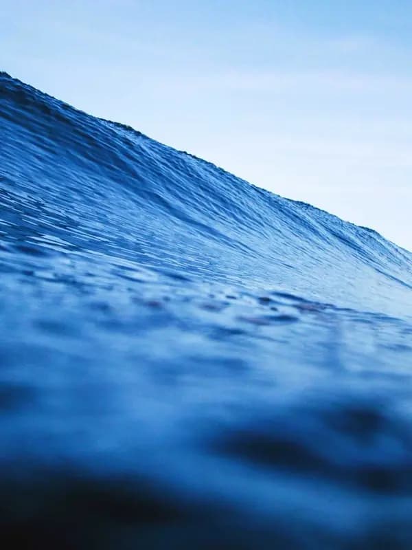 CAROLINE — 3