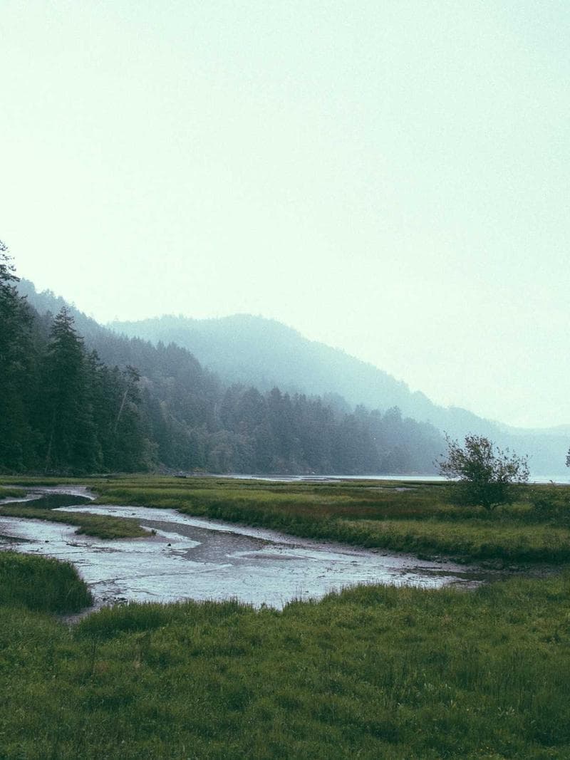 FEMKE — Dutch escort in rotterdam — 2