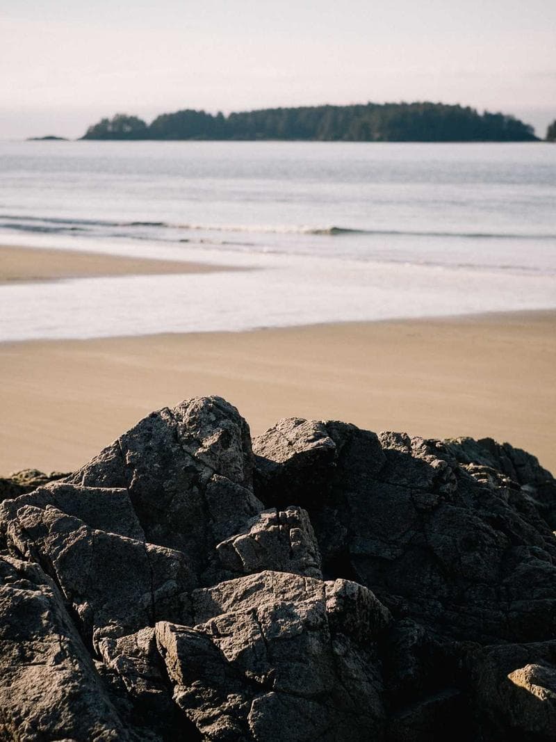 FEMKE — Dutch escort in rotterdam — 3