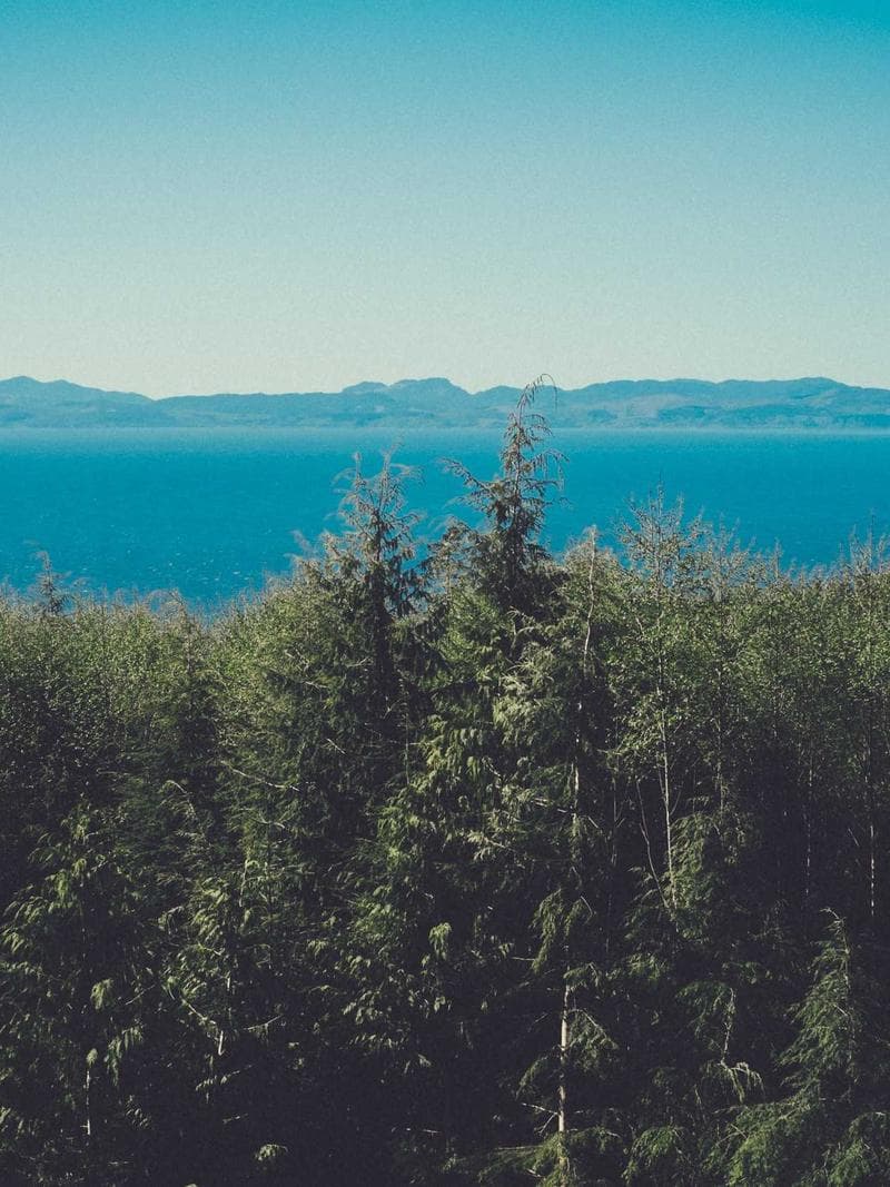 FEMKE — Dutch escort in rotterdam — 1