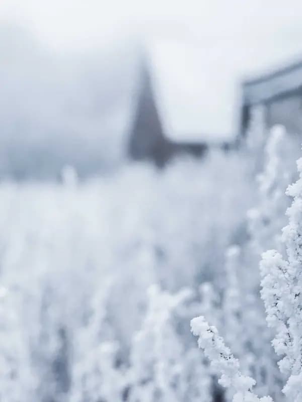 FREYA — 1