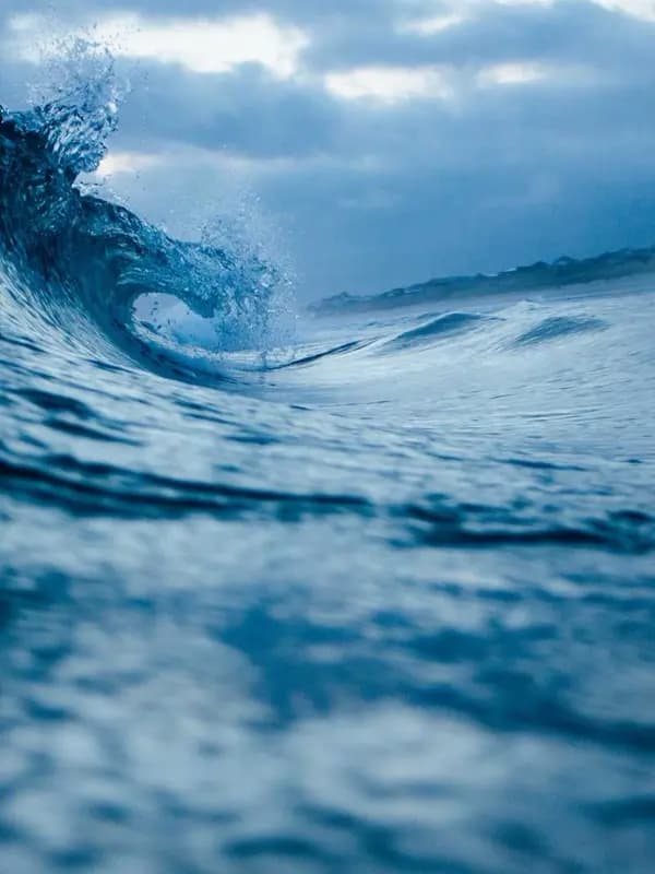 INGRID — 3
