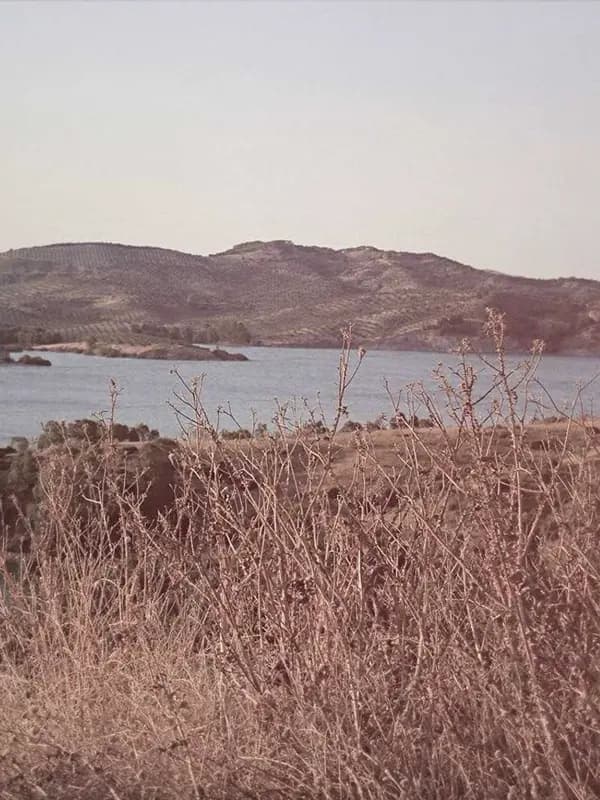 INGRID — 3