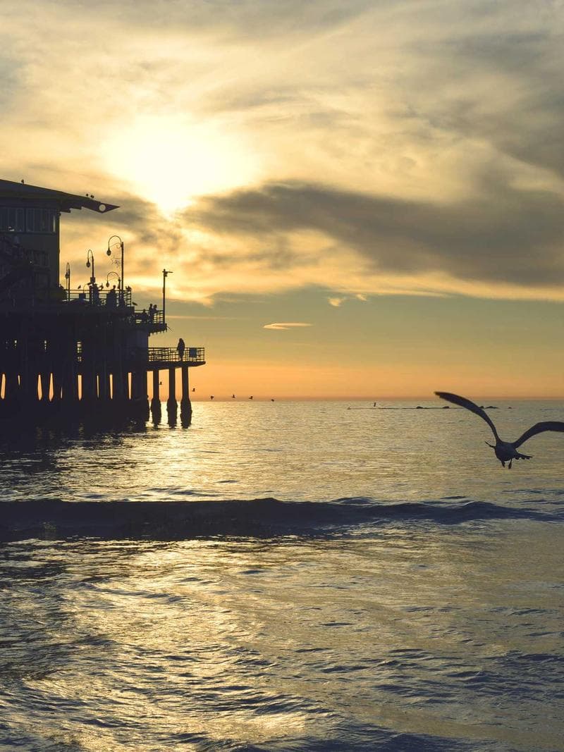 KHALID — Syrian escort in abu-dhabi — 4