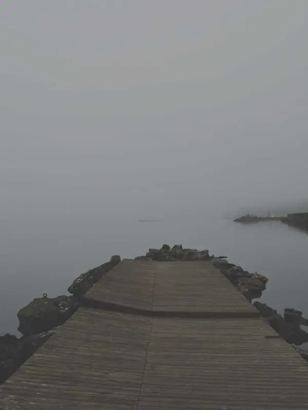LILY — 2