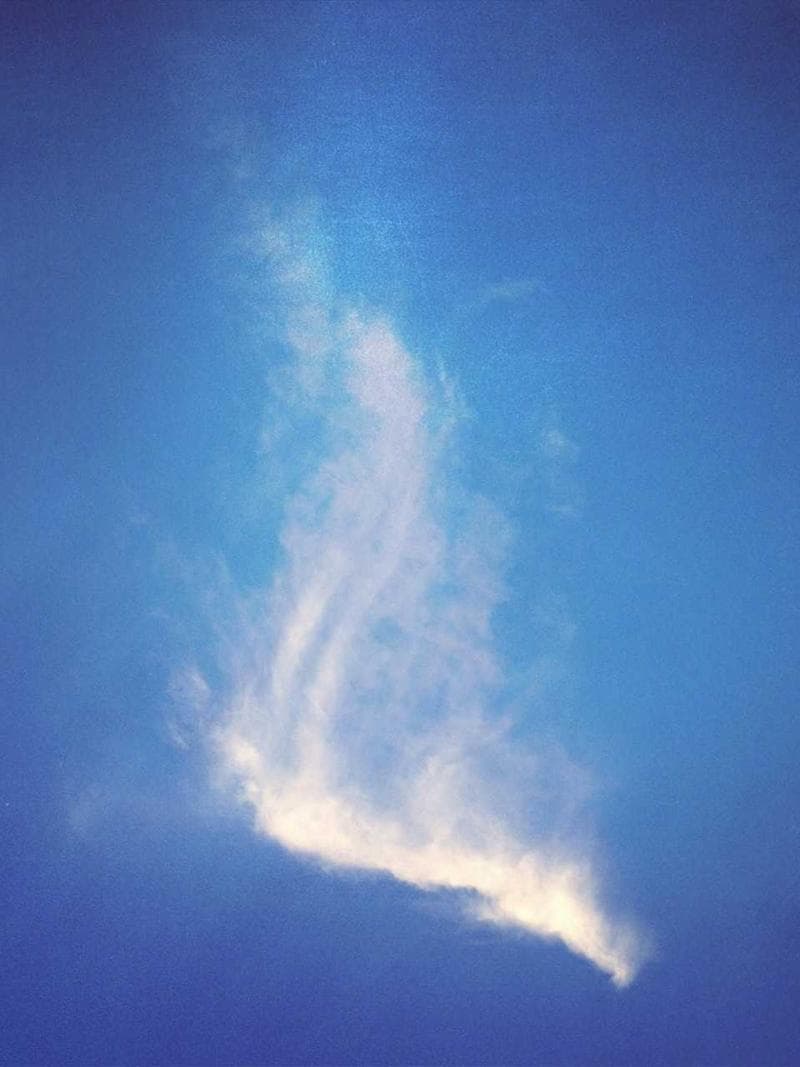 MARTA — Spanish escort in barcelona — 4