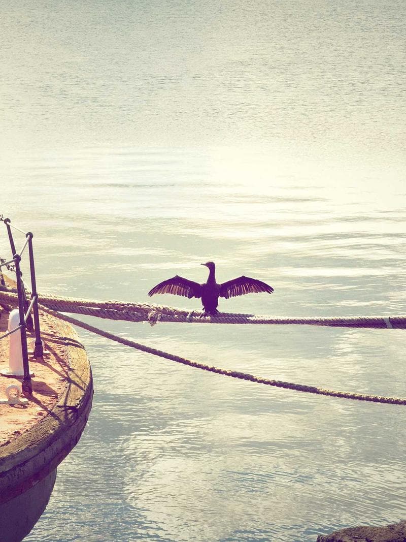 MARTA — Spanish escort in barcelona — 1