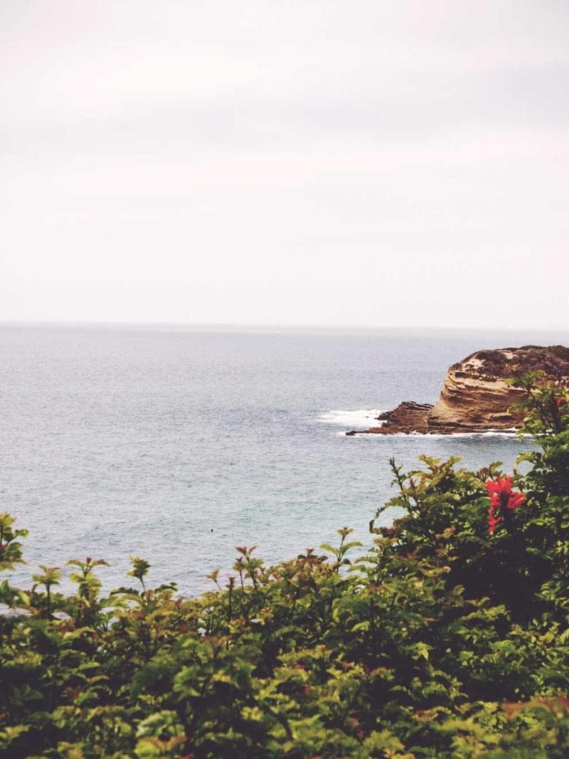 PALOMA — 3