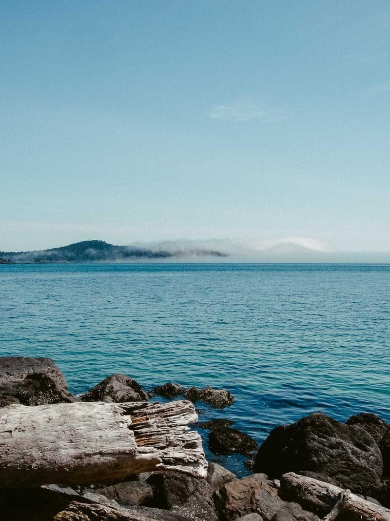 PIETER — Dutch escort in amsterdam — 3