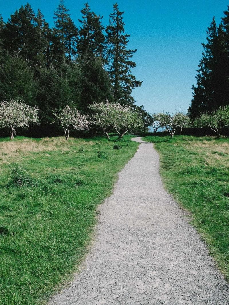 PIETER — Dutch escort in amsterdam — 4