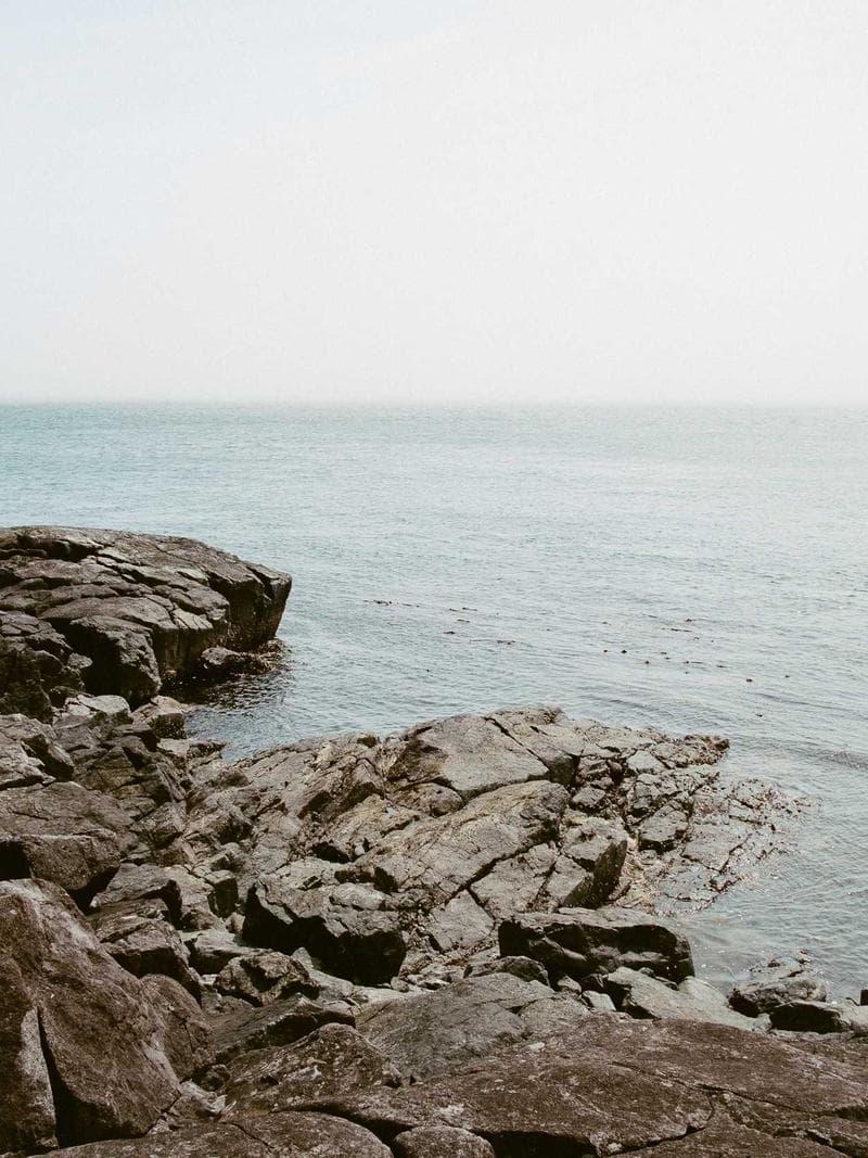 PIETER — Dutch escort in amsterdam — 1