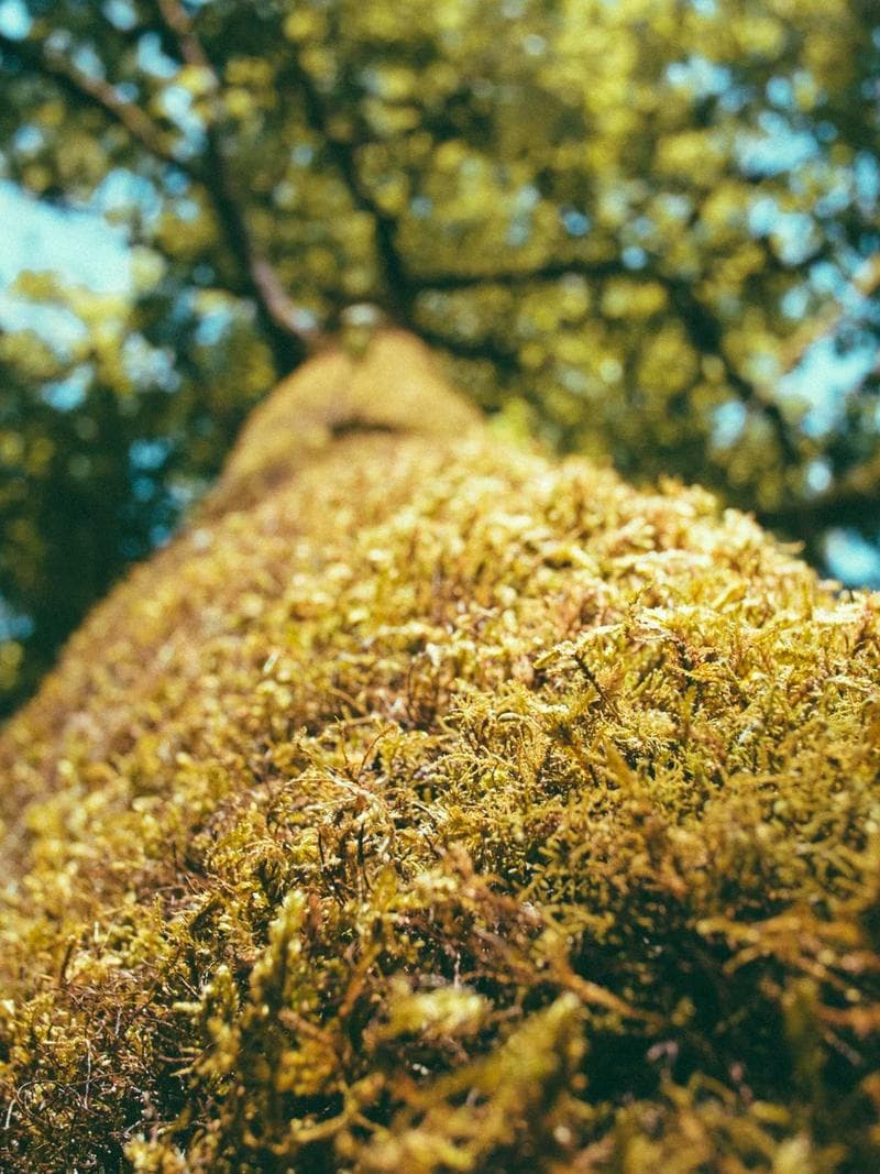 THOMAS — Belgian escort in rotterdam — 2