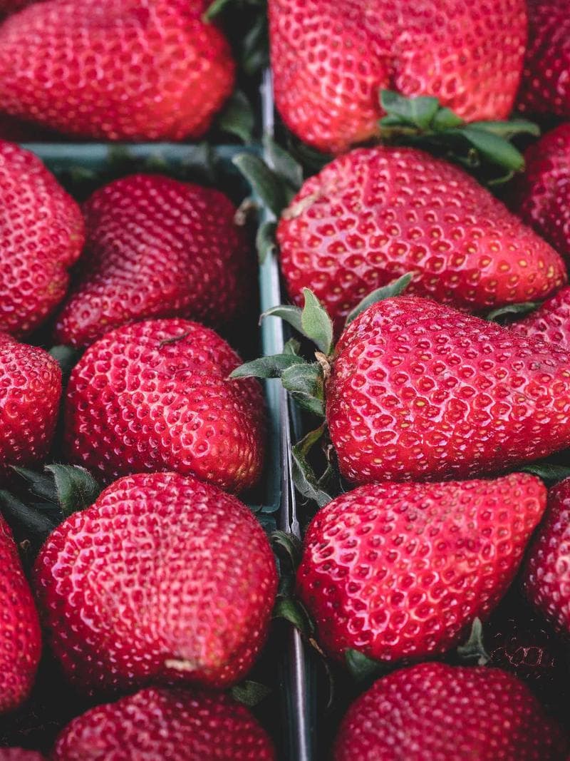 YUKI — Japanese escort in rotterdam — 4