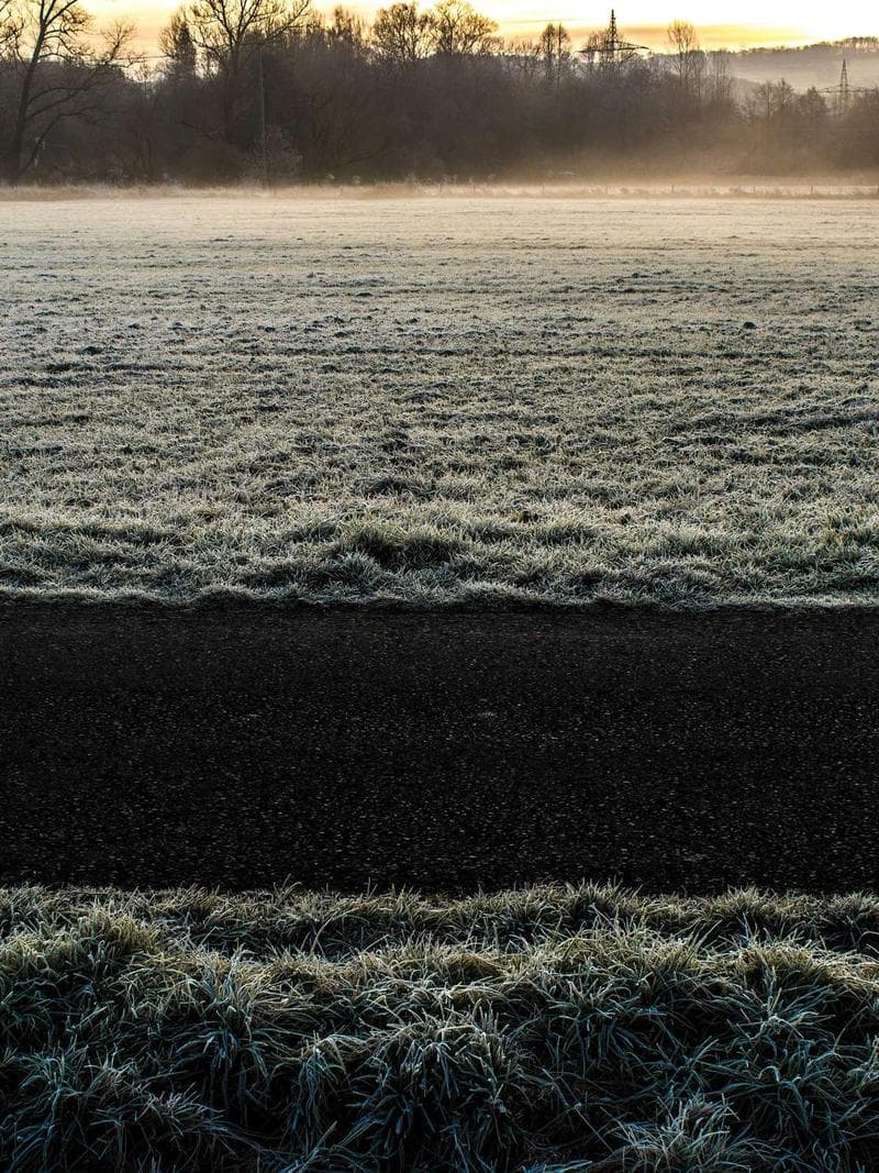 FREYA — 4