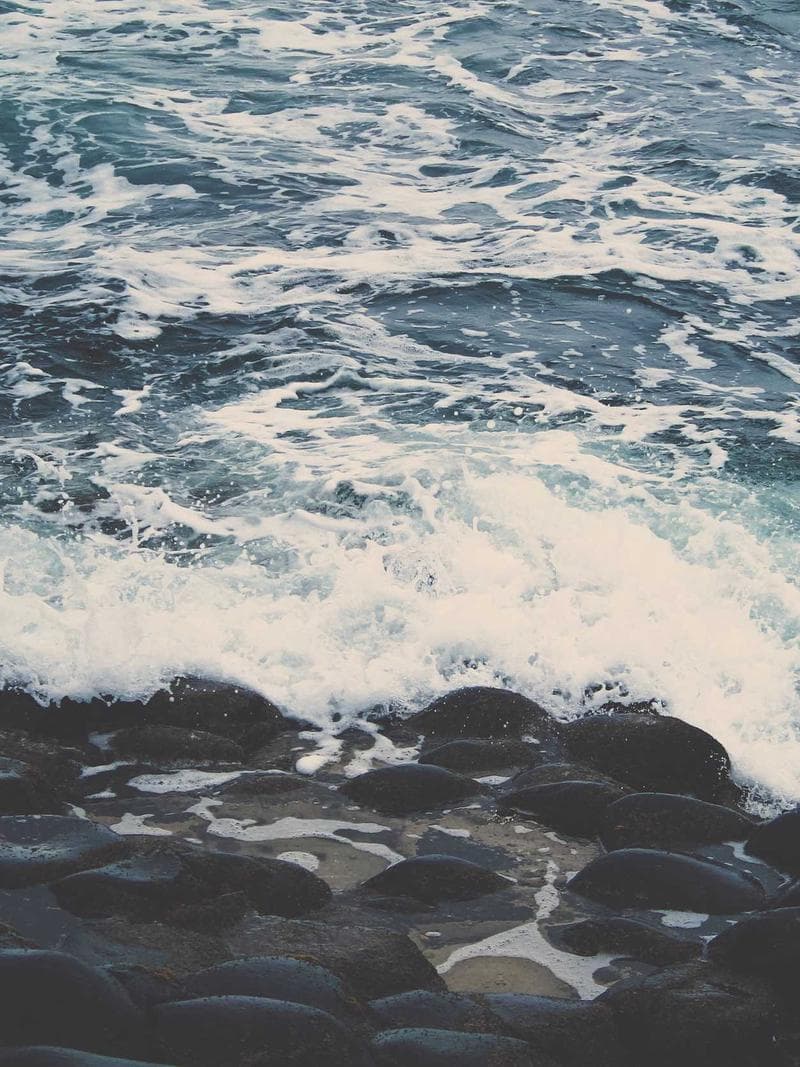 GEMMA — 4