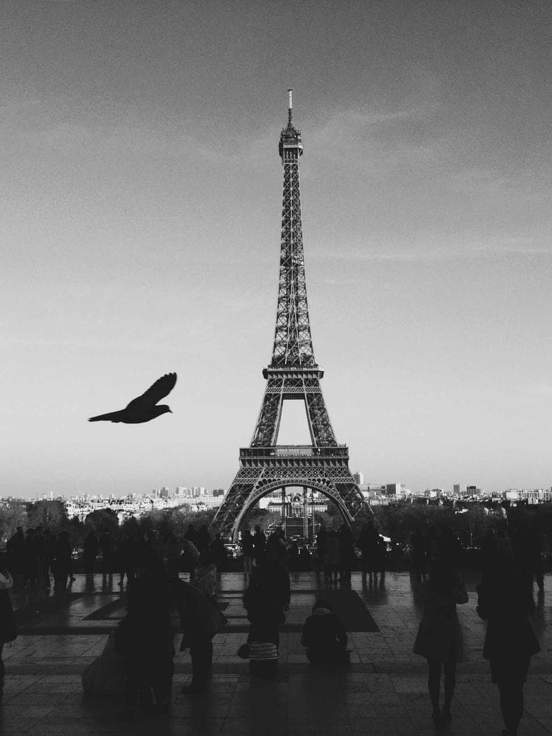 MARGOT — 3