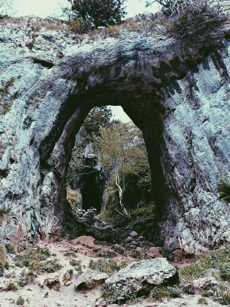 THEA — 4
