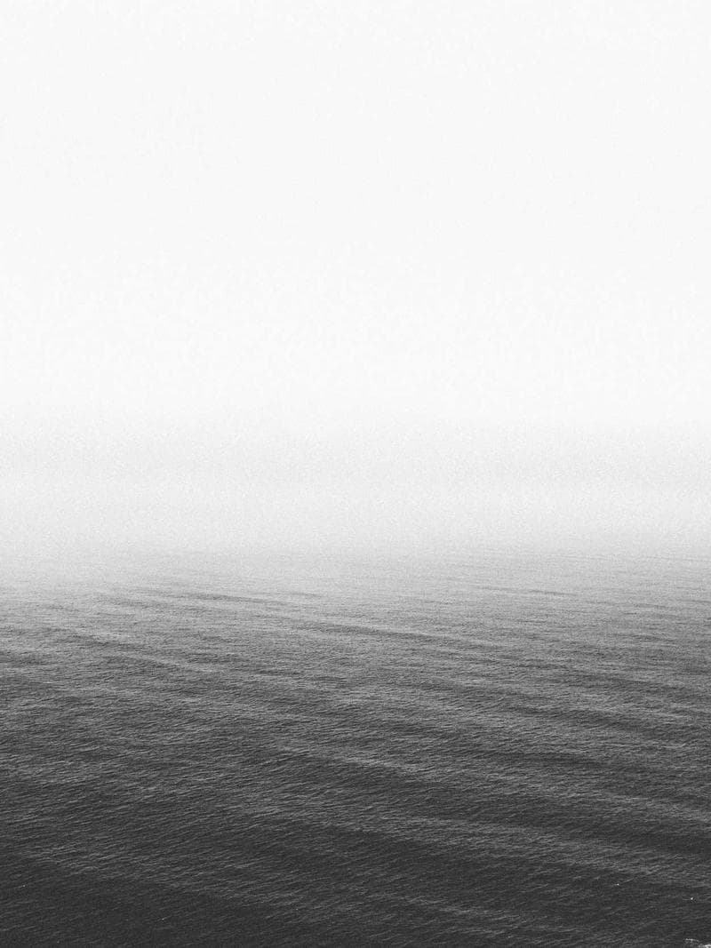 ADELE — 4