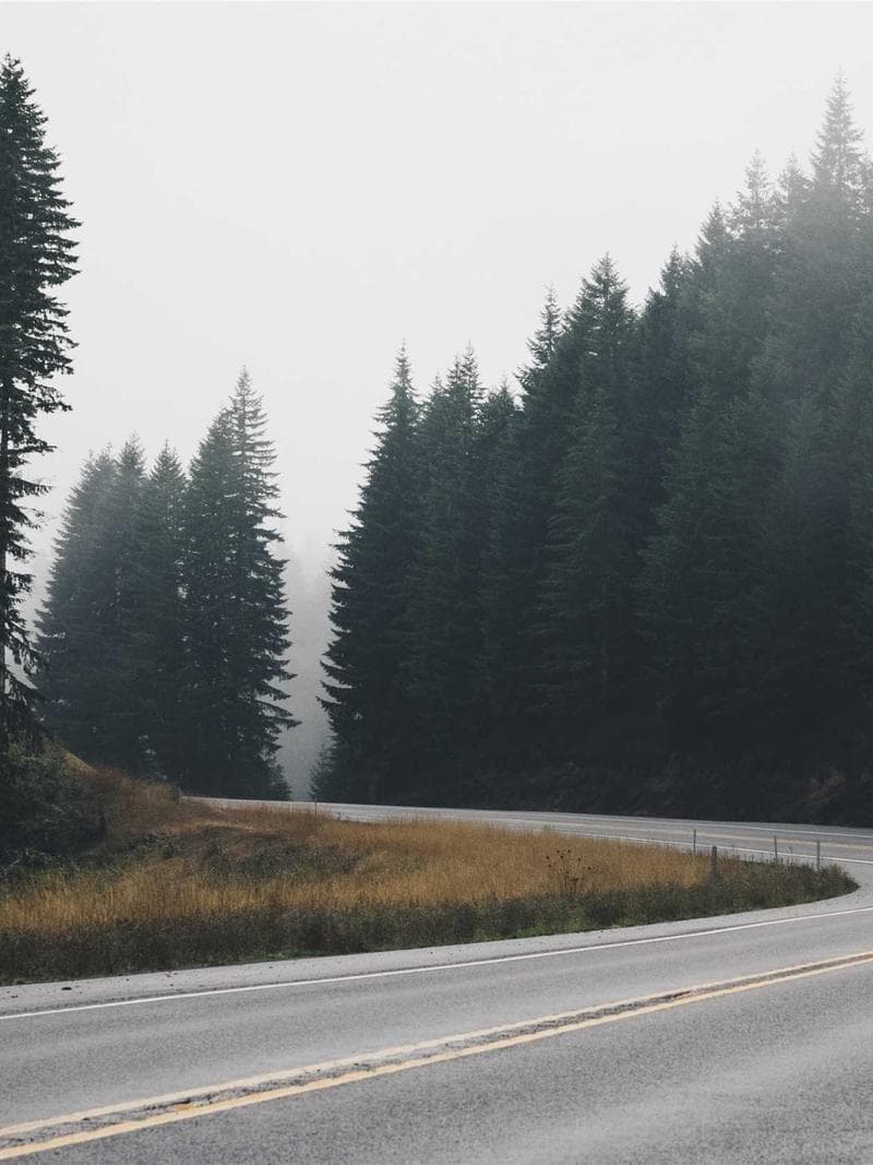 AMBER — 3