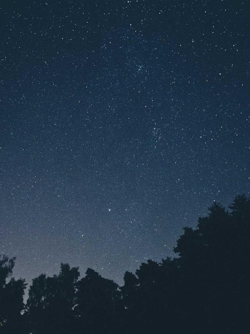 XANDER — 2