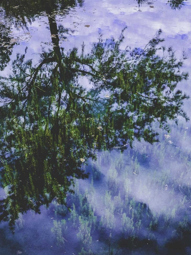 BLAKE — 3