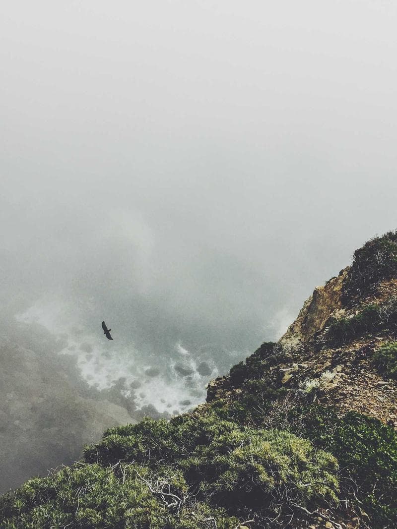 OLIVER — 4