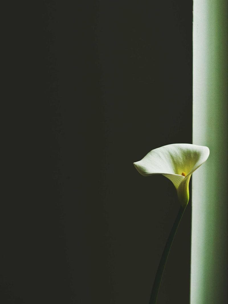 NOAH — 3