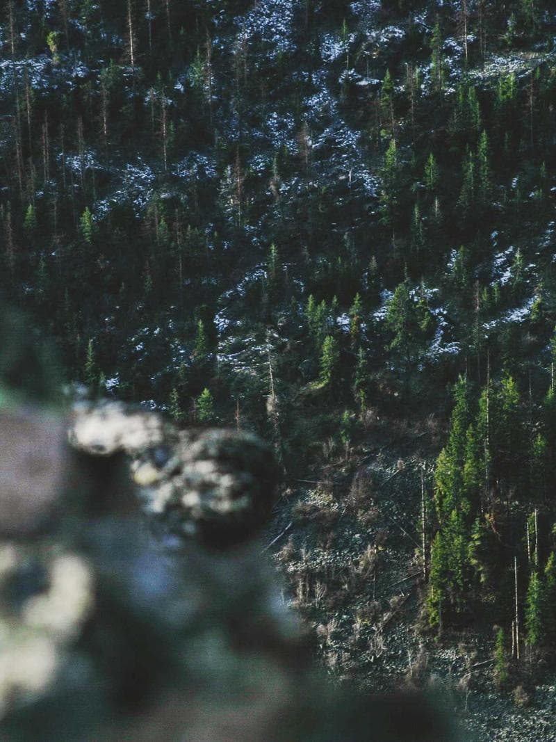 LEO — 4