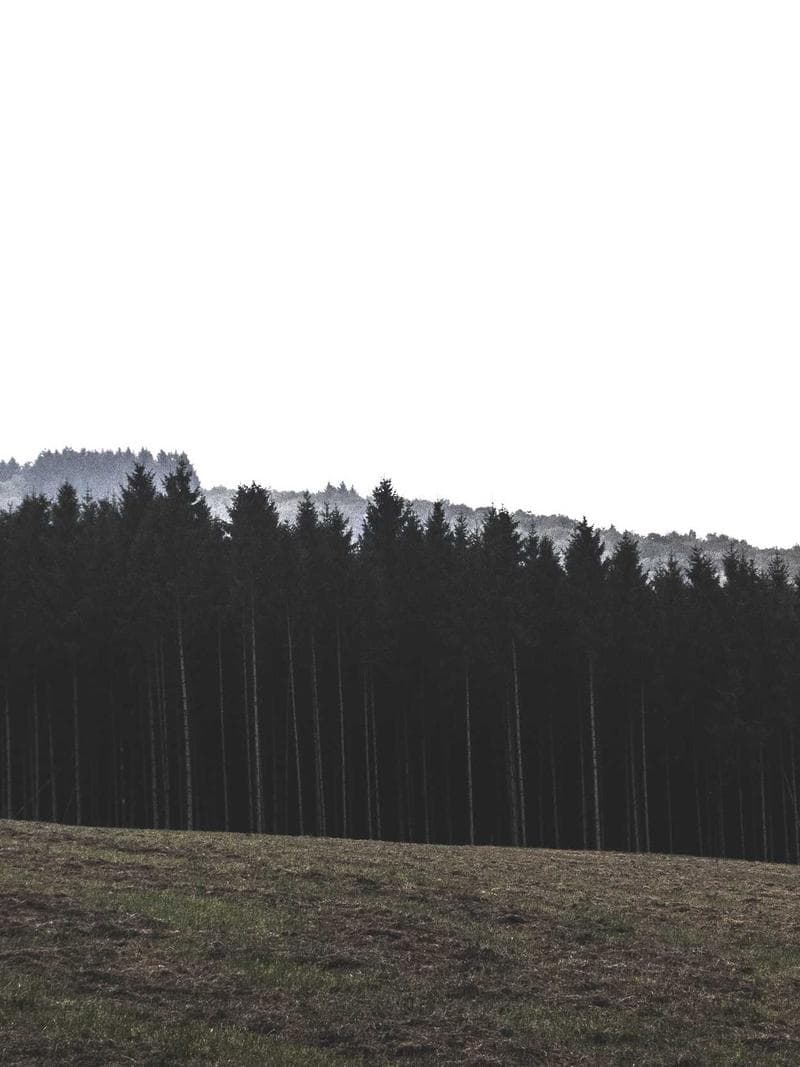 OMAR — 2