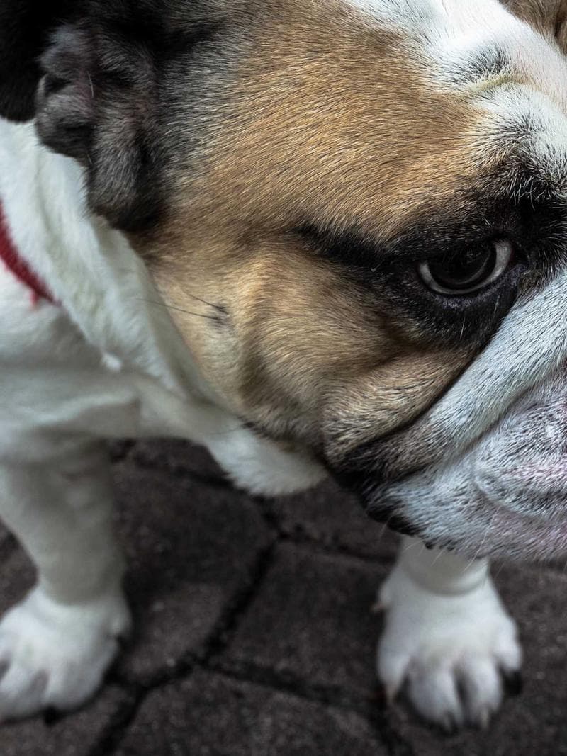CHARLIE — 2