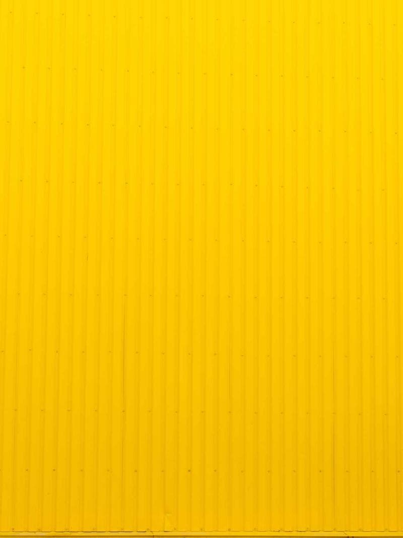 REESE — 4