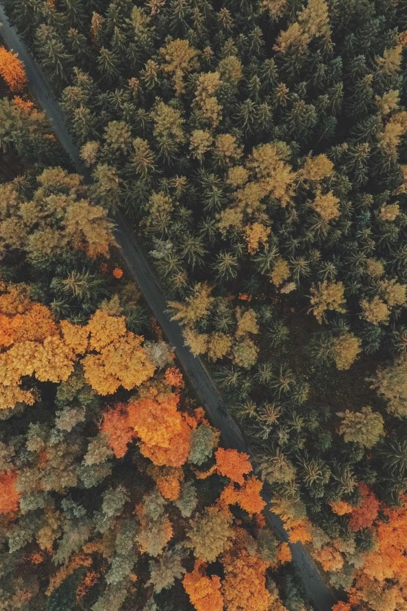 KENNEDY — 4