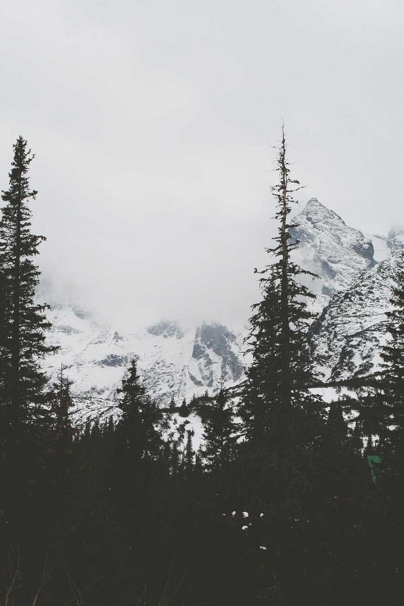 ELEANOR — 6