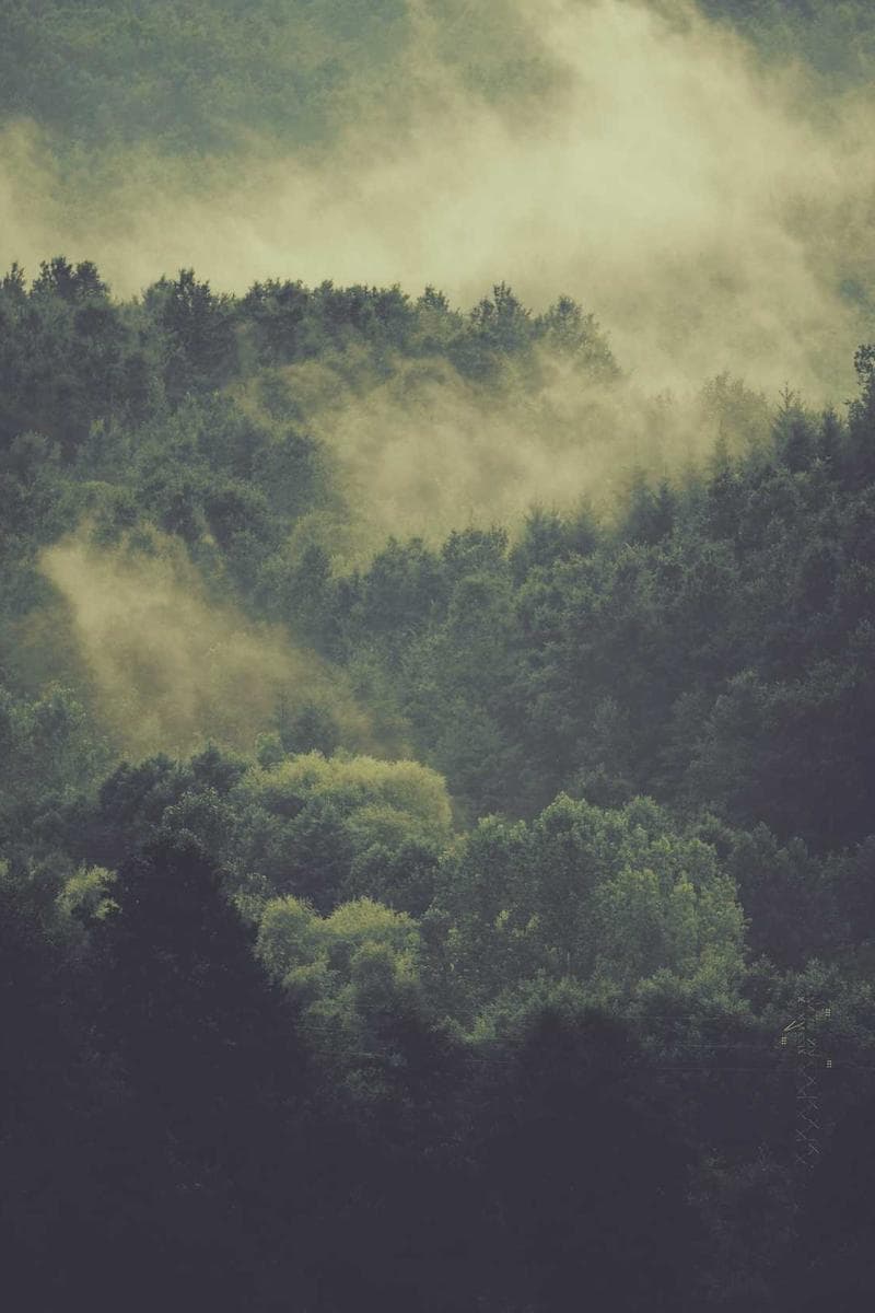NIKITA — 2