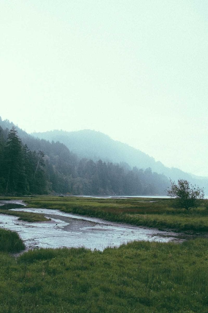 SADIE — 1