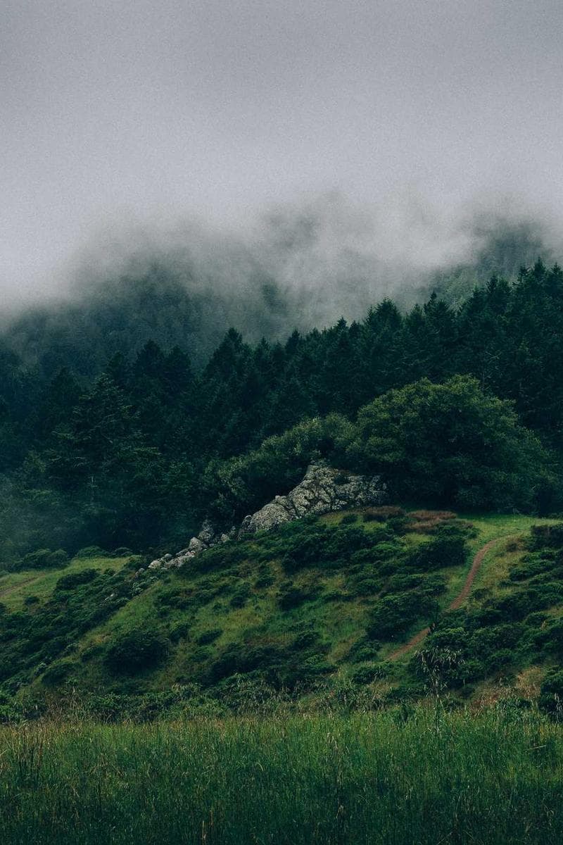 CLAIRE — 4