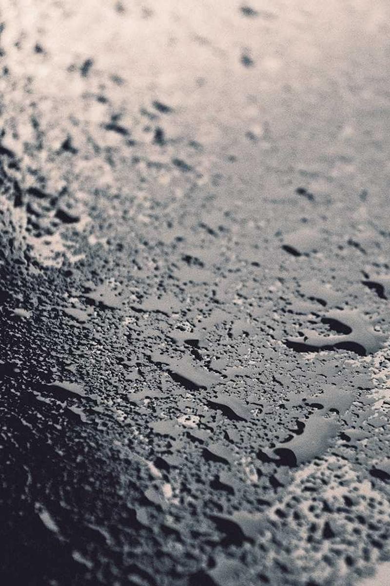 GRETA — 5