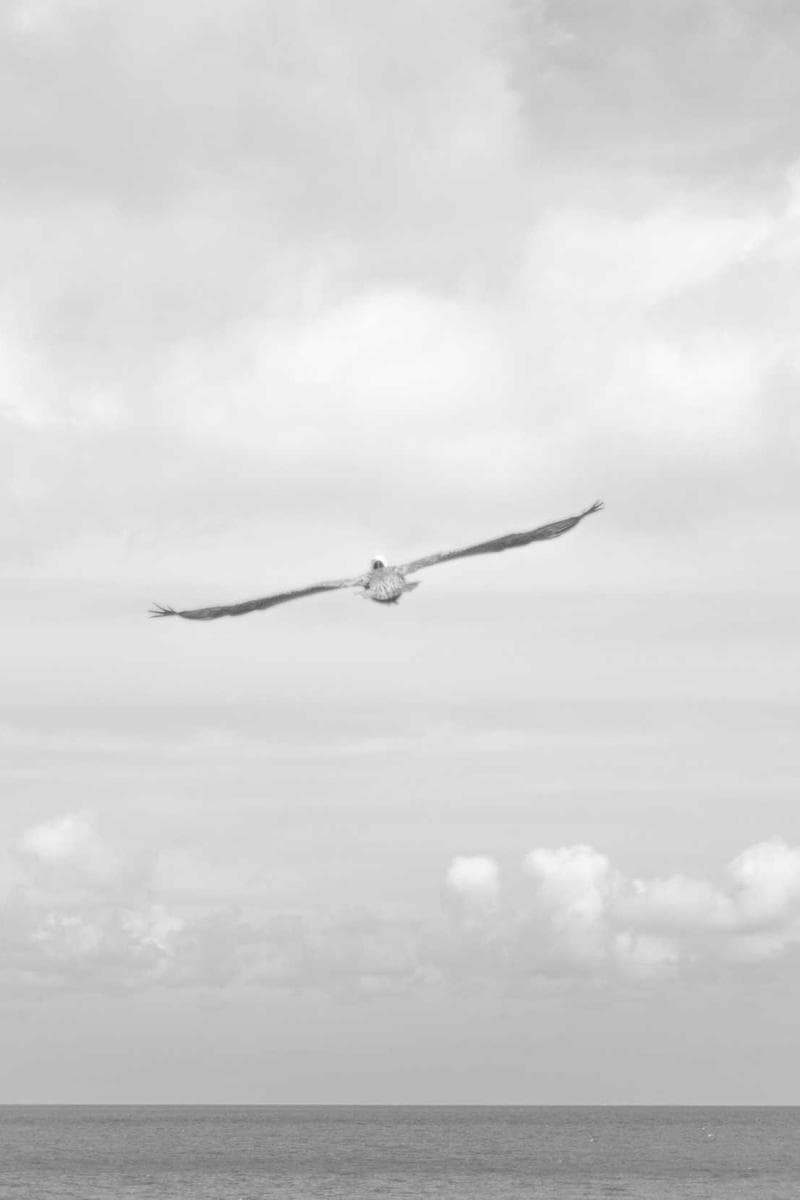 CAROLINE — 2