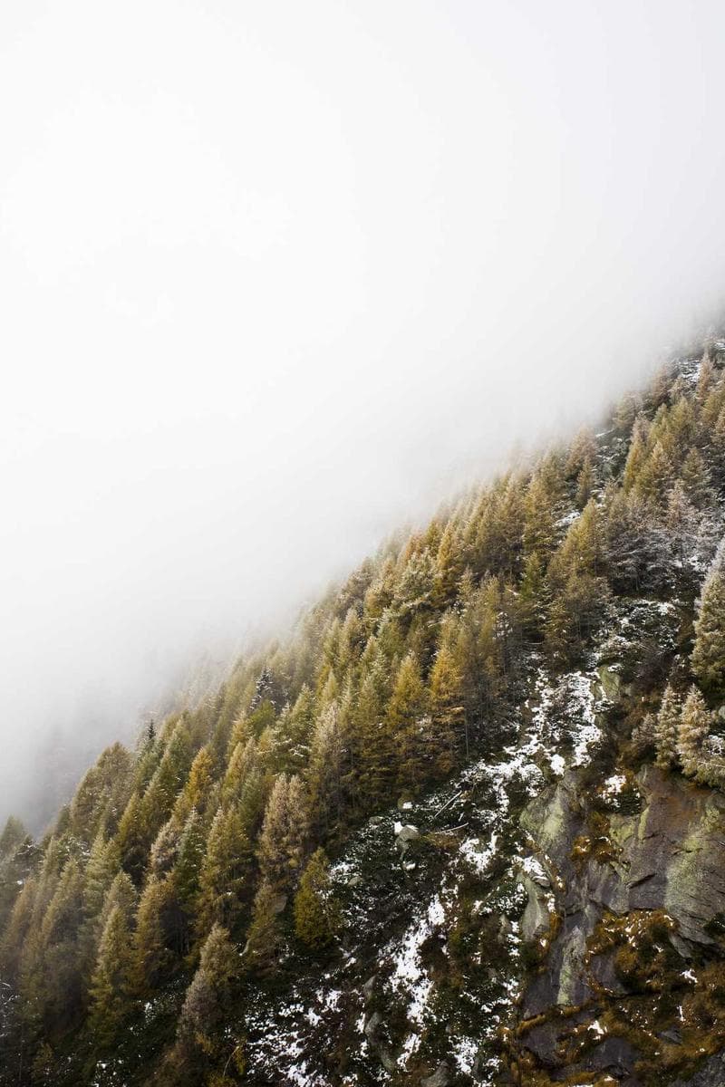 FRANCESCA — 4