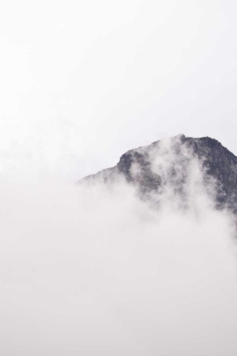 ELENA — 3
