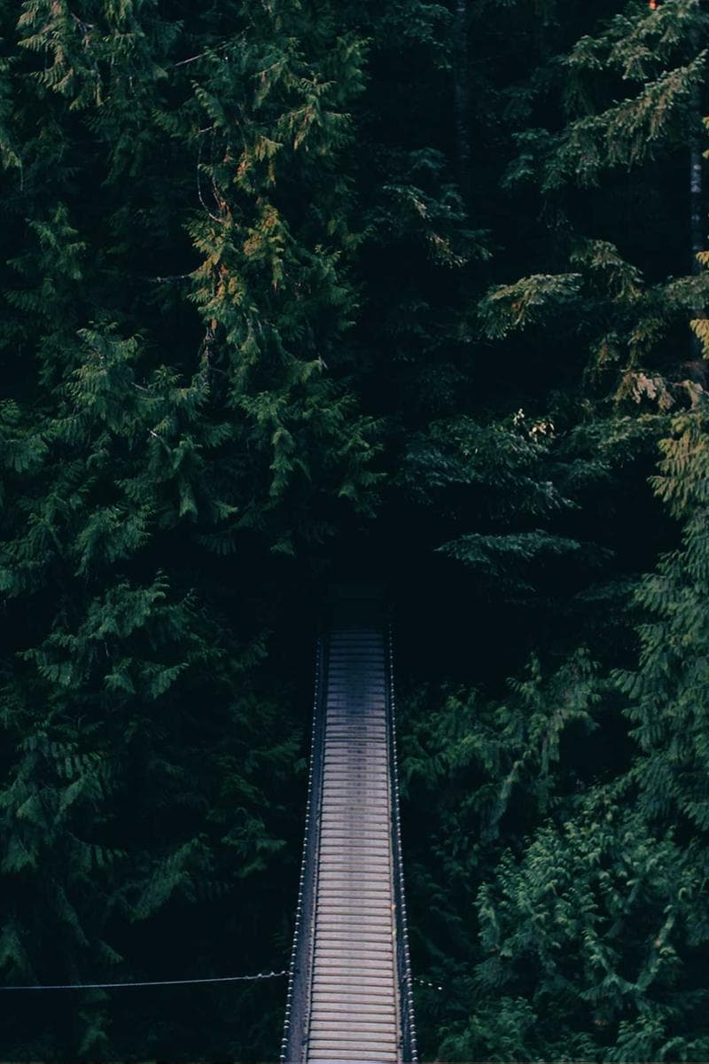 CHLOE — 3