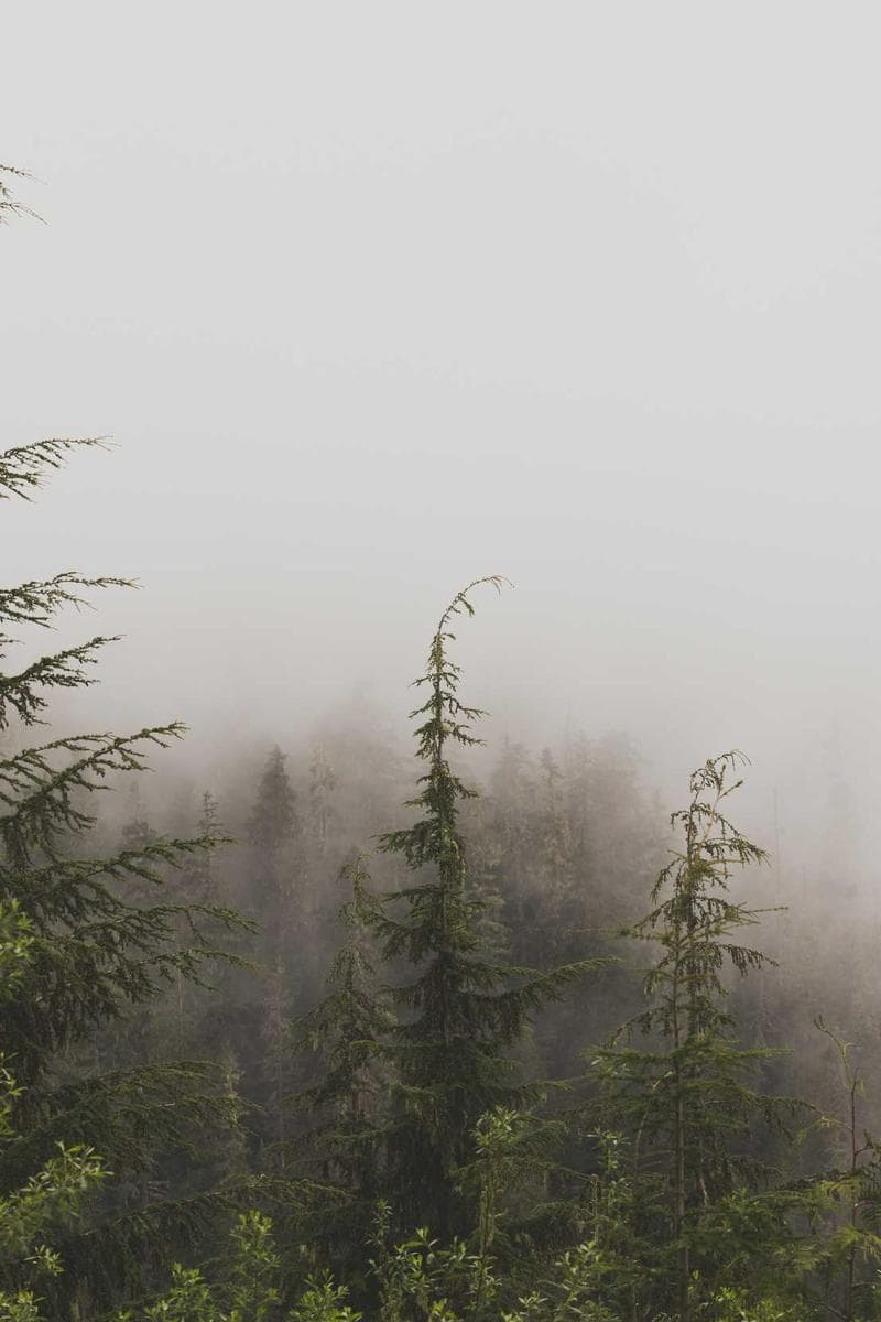 SKYLAR — 3