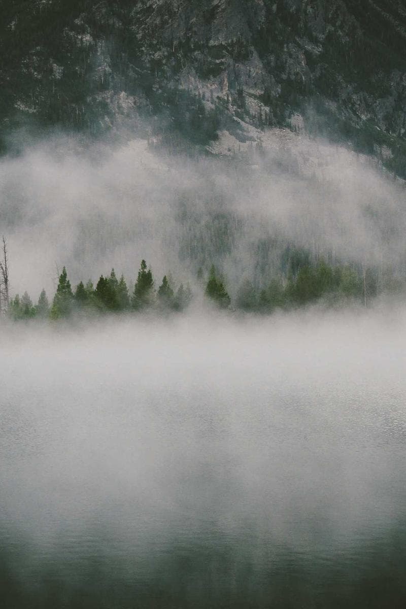 HARPER — 5