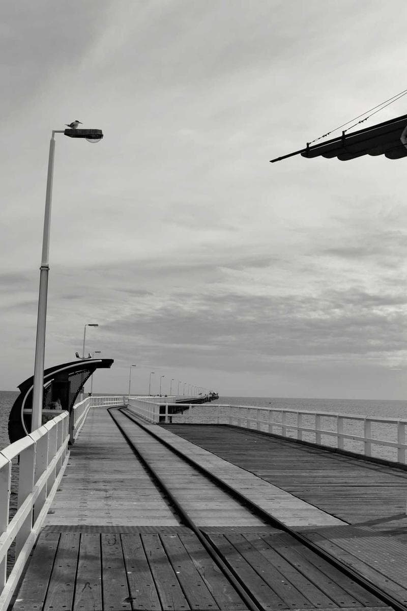 SELMA — 1