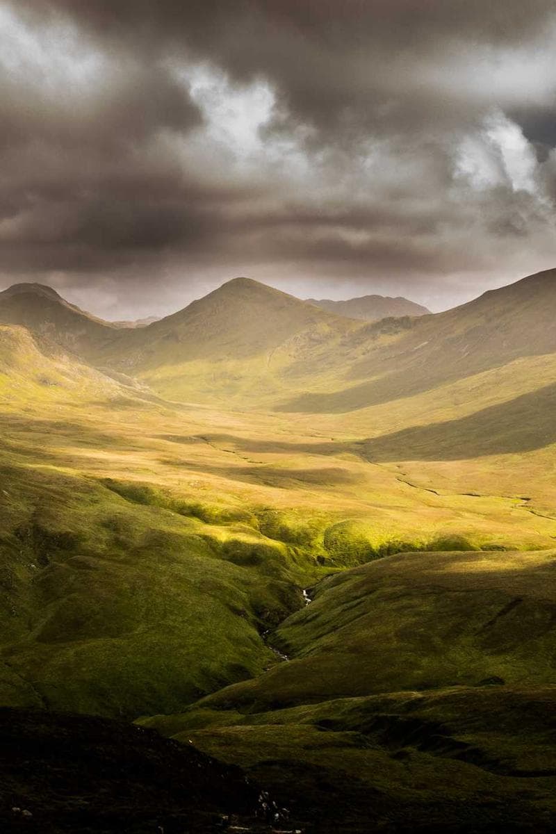 RILEY — 1