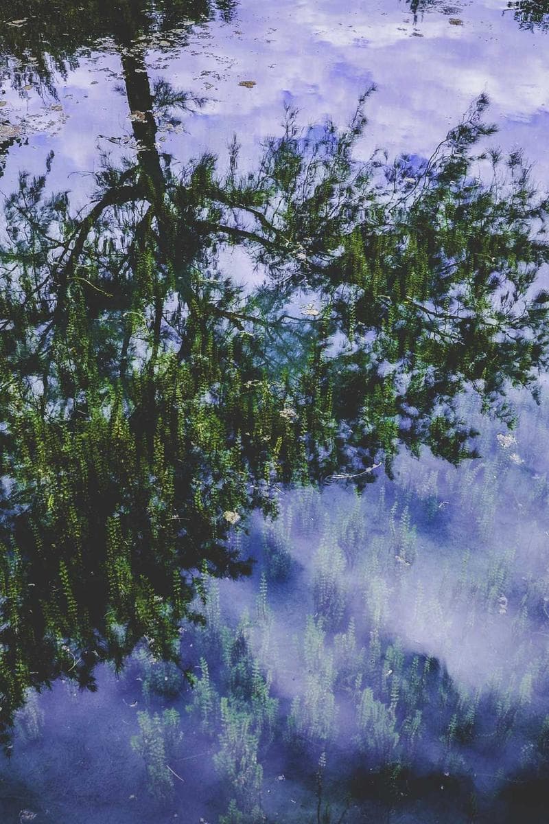 PENELOPE — 4