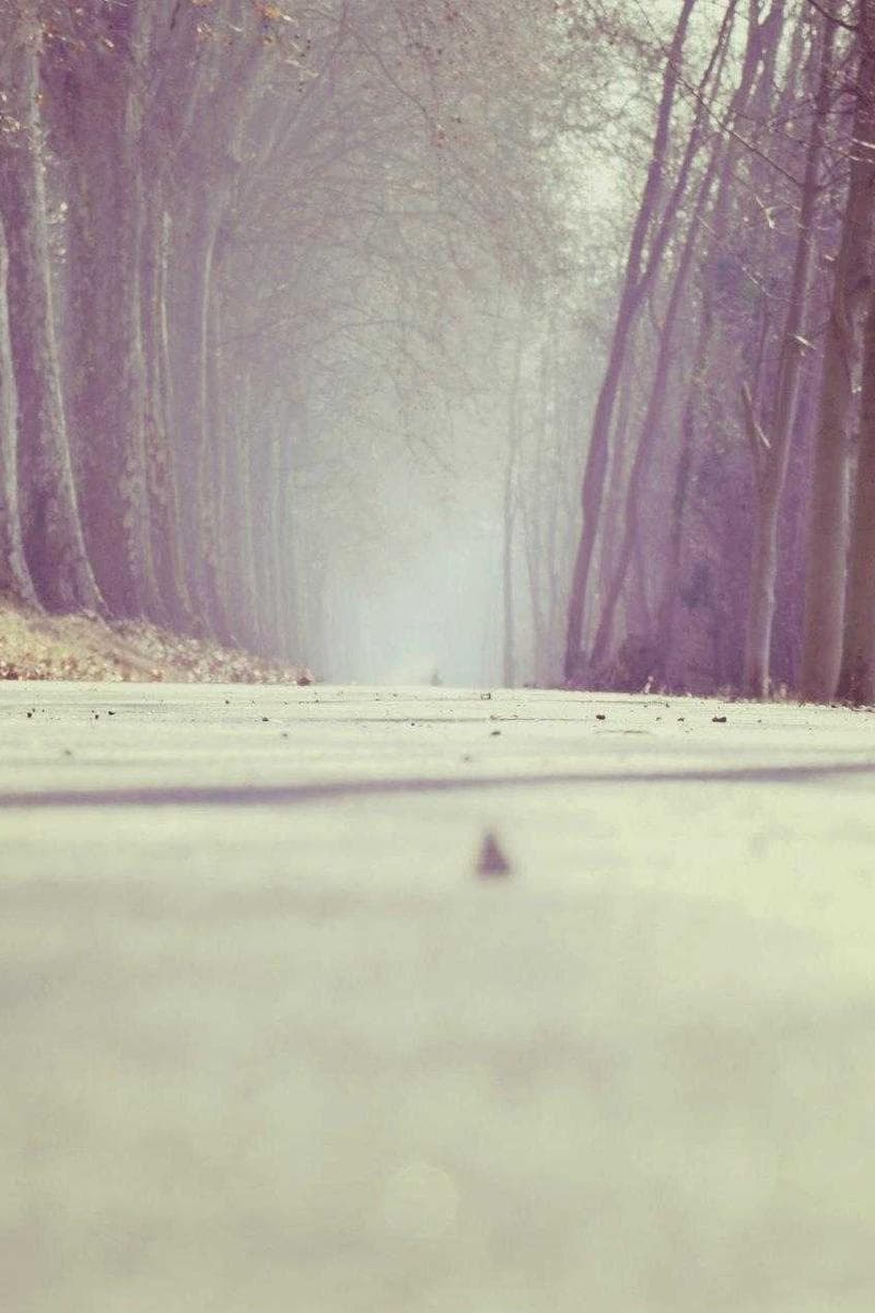 AUTUMN — 2